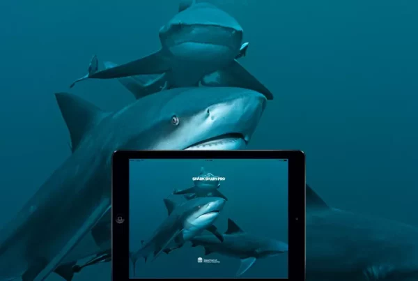 sharksmart app nsw