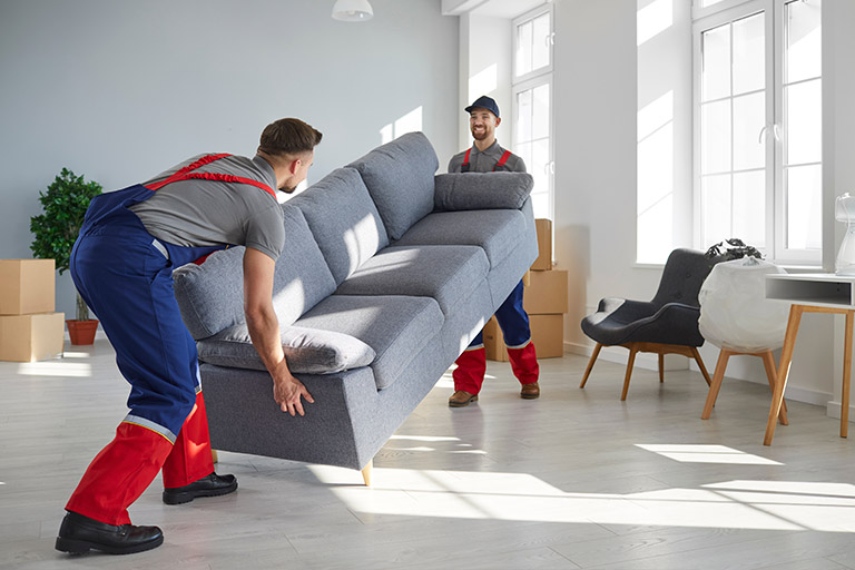 home removalist business software