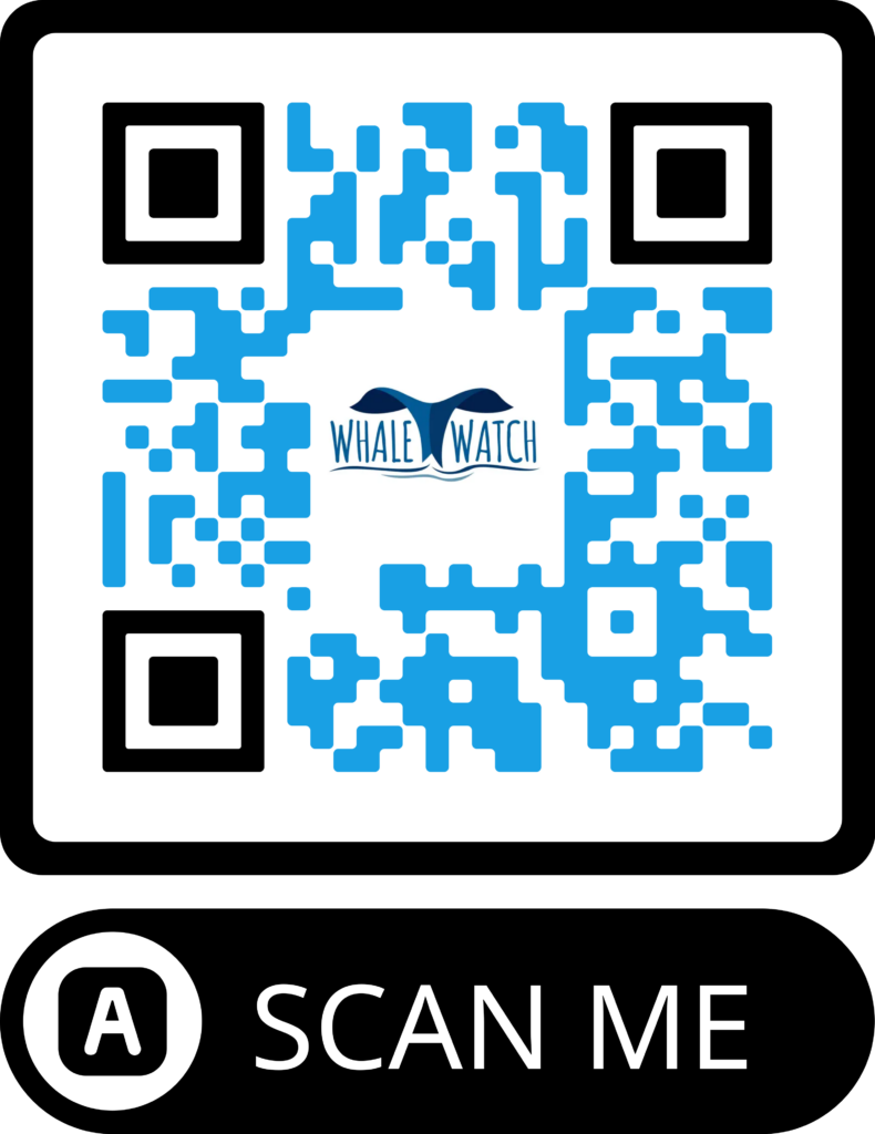 WhaleWatch is a popular free Whale Watching app by Mobiddiction