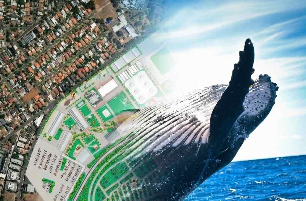 compressed_From Wild About Whales to Mapiddiction Header image | Mobiddiction Artistic collage of a city map overlaid with green spaces, transitioning into a blue sea with a whale tail breaking the surface.
